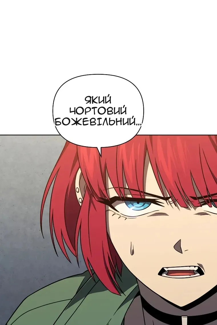 Сторінка 113