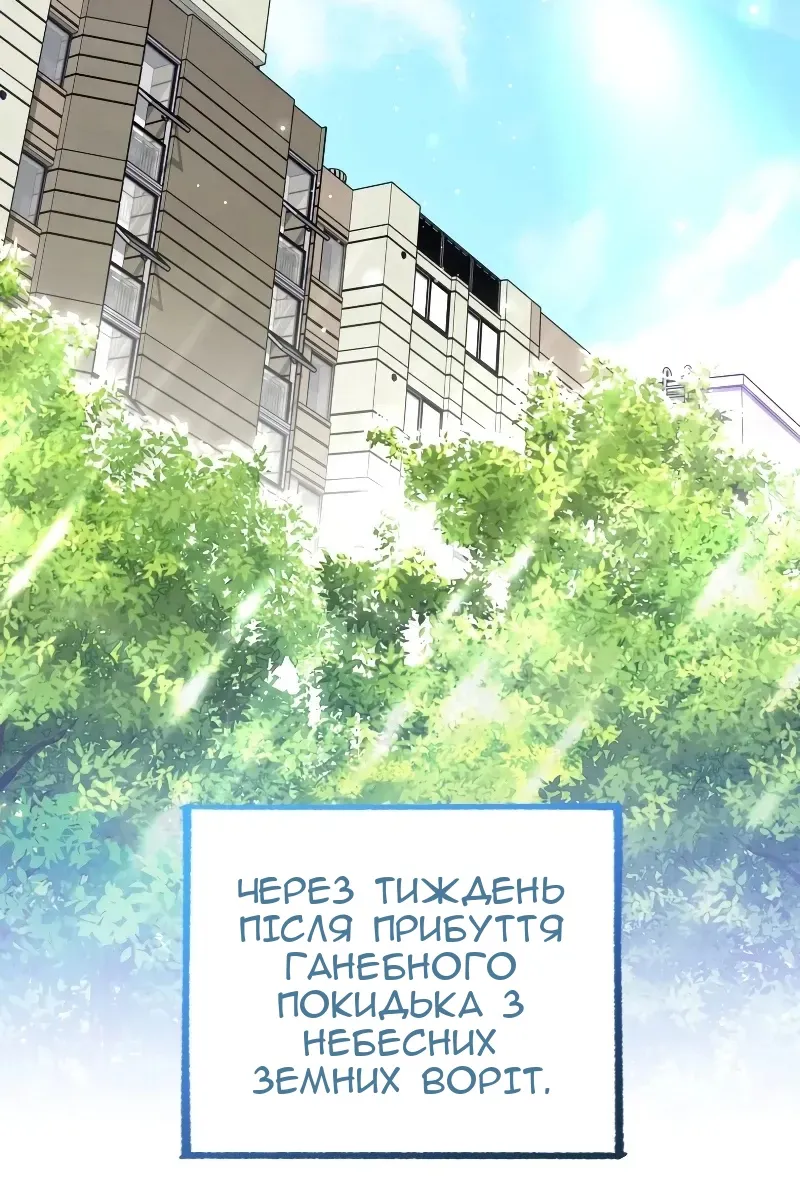 Сторінка 31