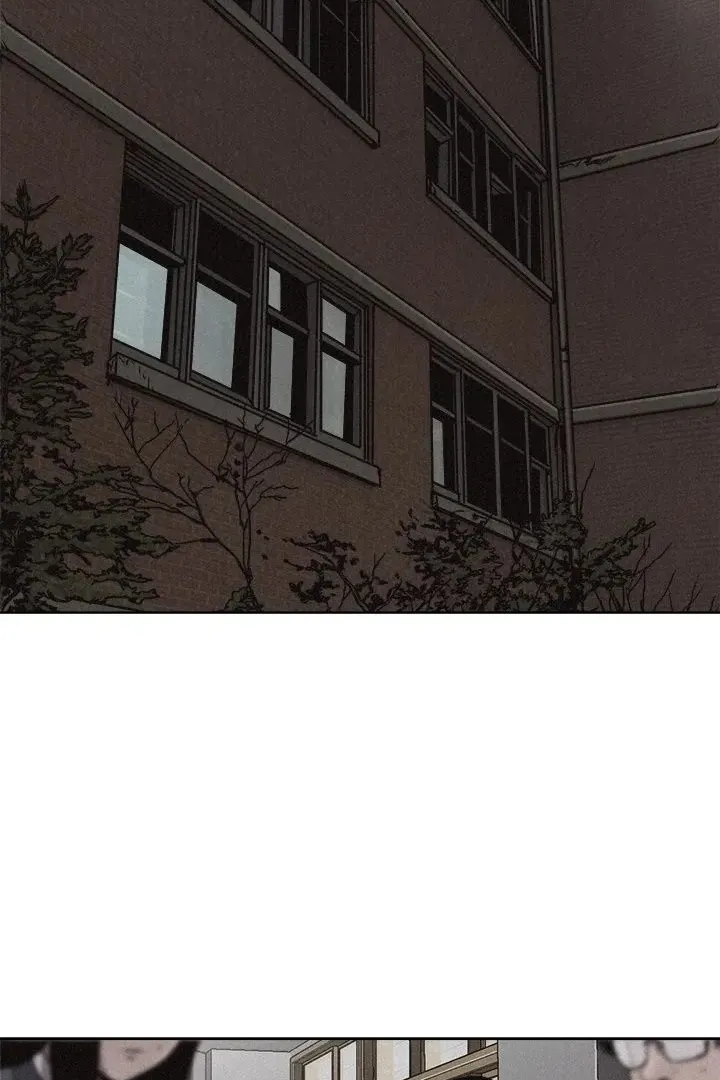 Сторінка 29