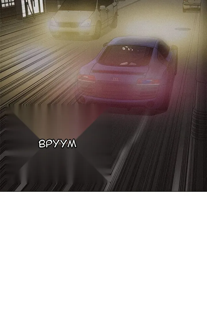 Сторінка 29