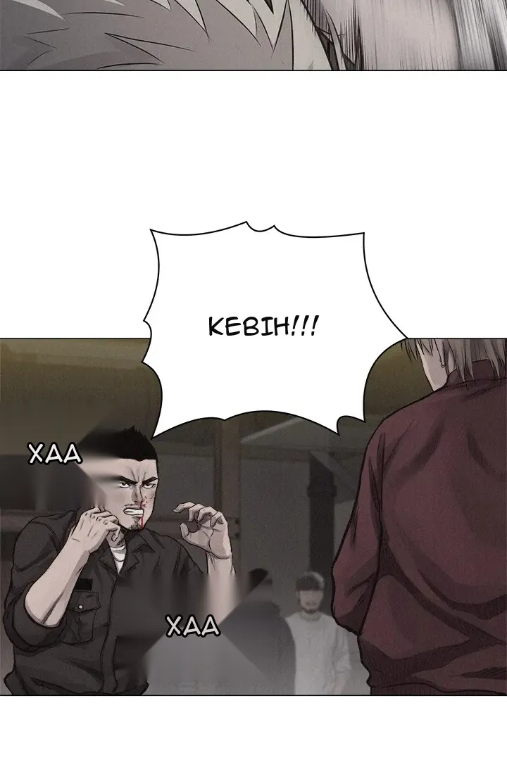 Сторінка 41