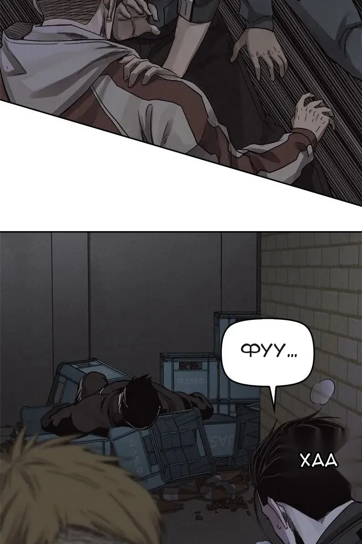 Сторінка 17