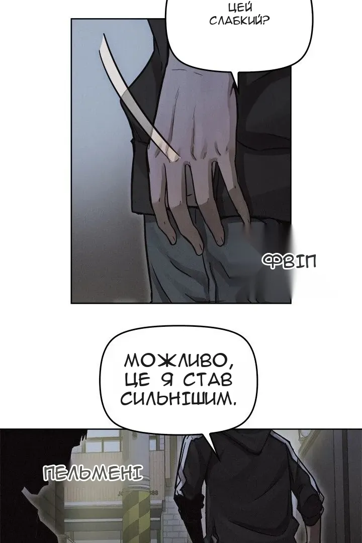Сторінка 29
