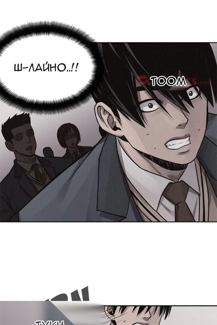 Сторінка 11