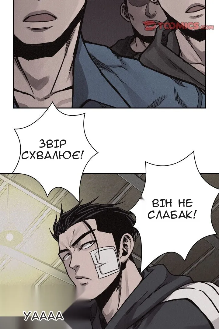Сторінка 17