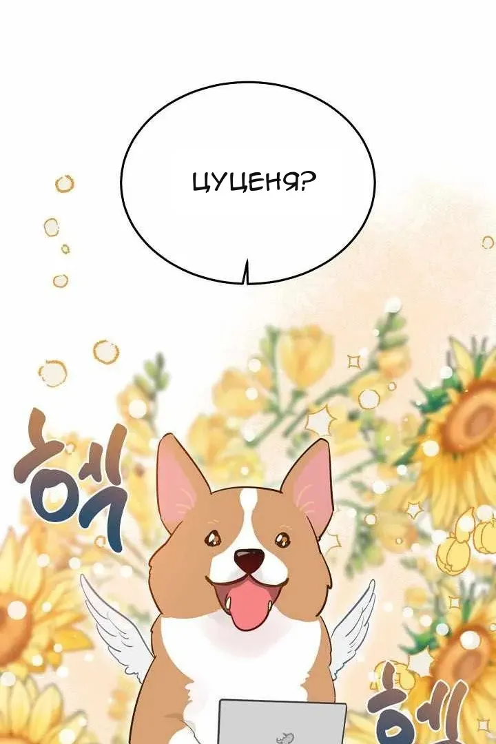 Сторінка 39