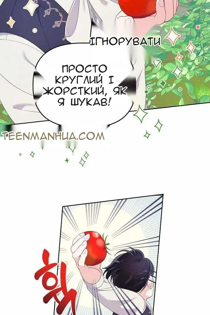 Сторінка 13