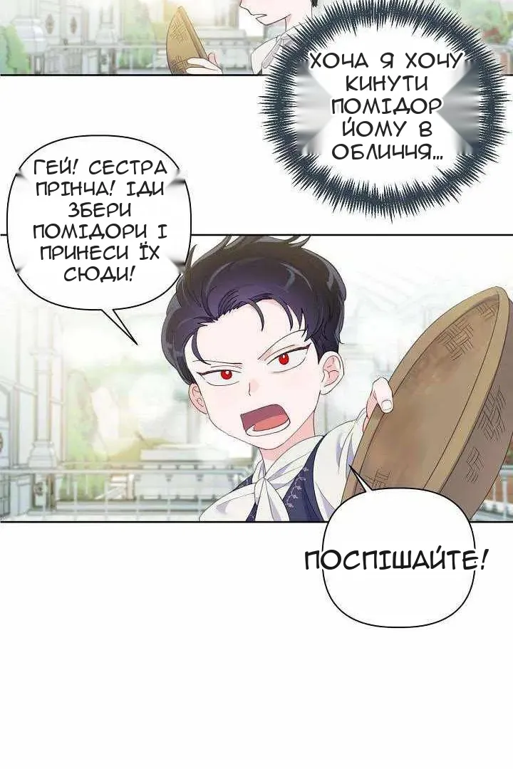 Сторінка 17