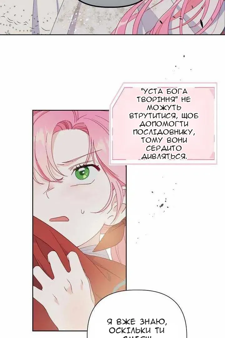 Сторінка 40