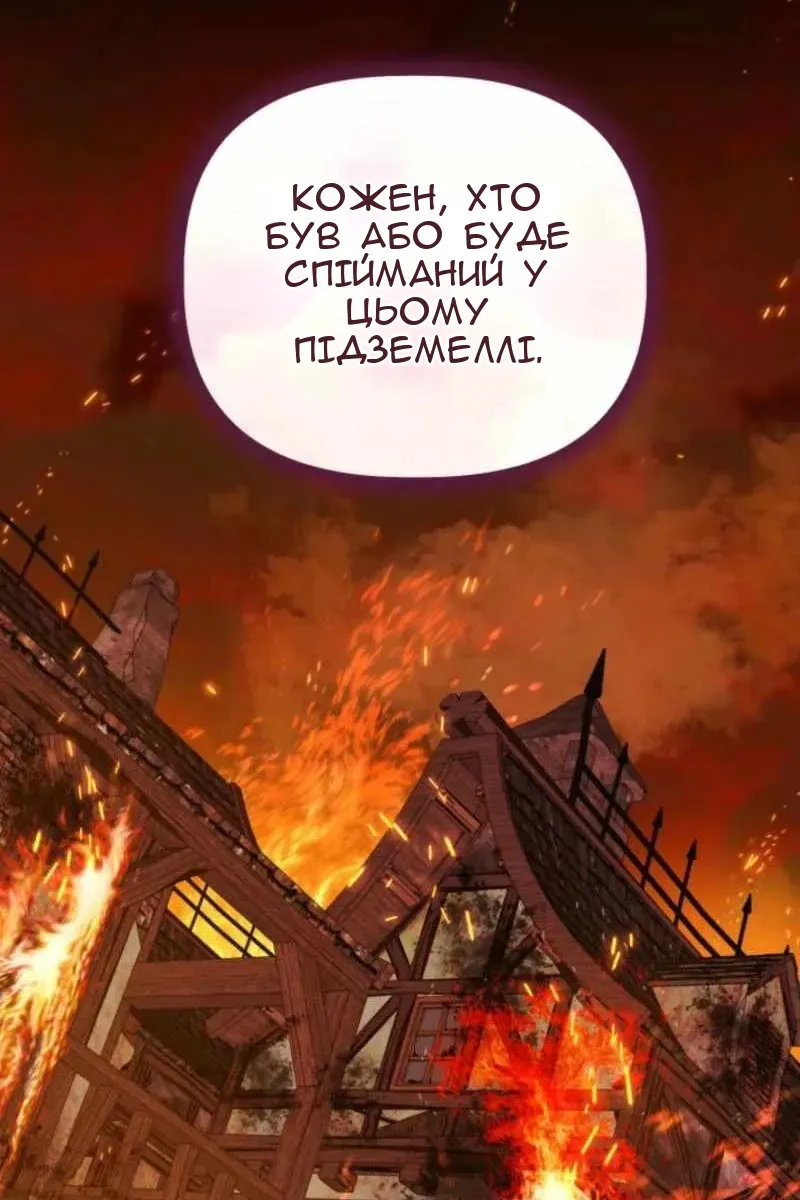 Сторінка 29