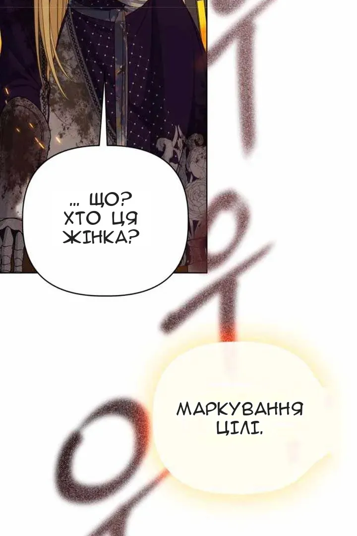 Сторінка 29