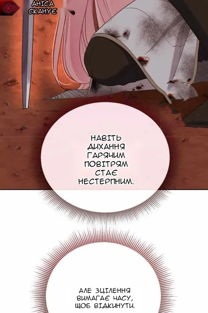 Сторінка 114