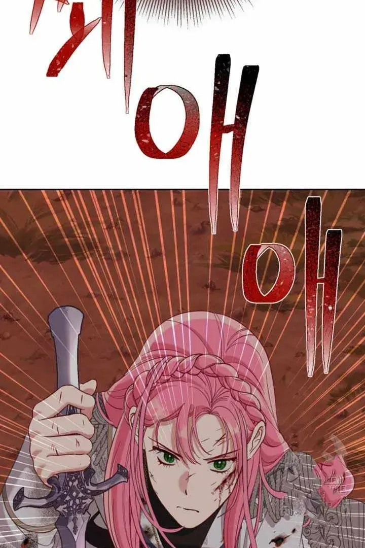 Сторінка 117
