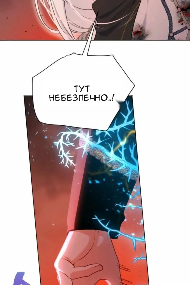 Сторінка 5