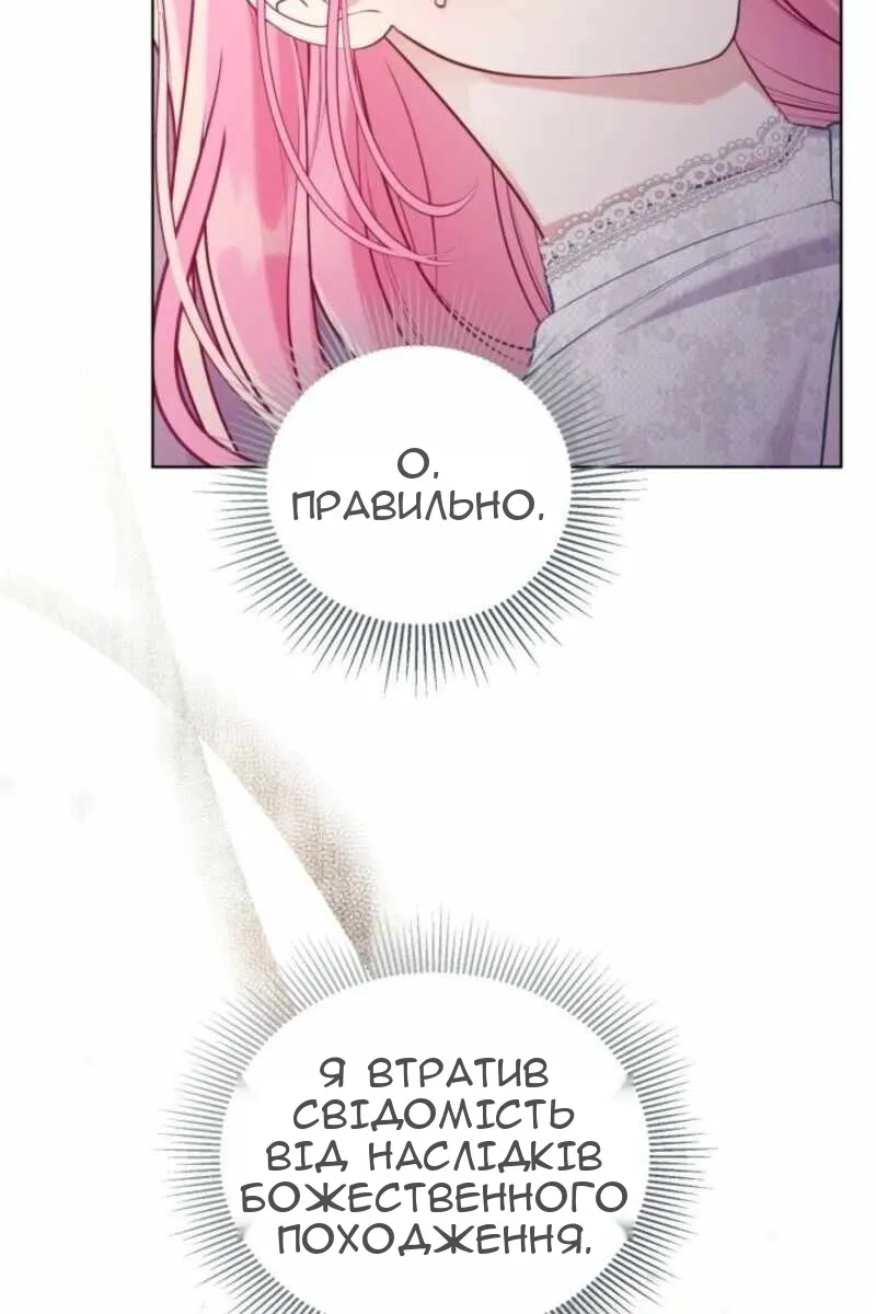 Сторінка 11