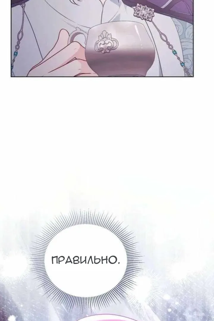 Сторінка 31