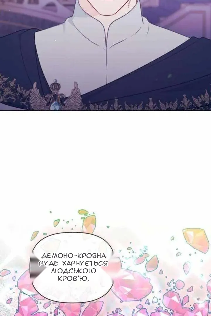 Сторінка 41