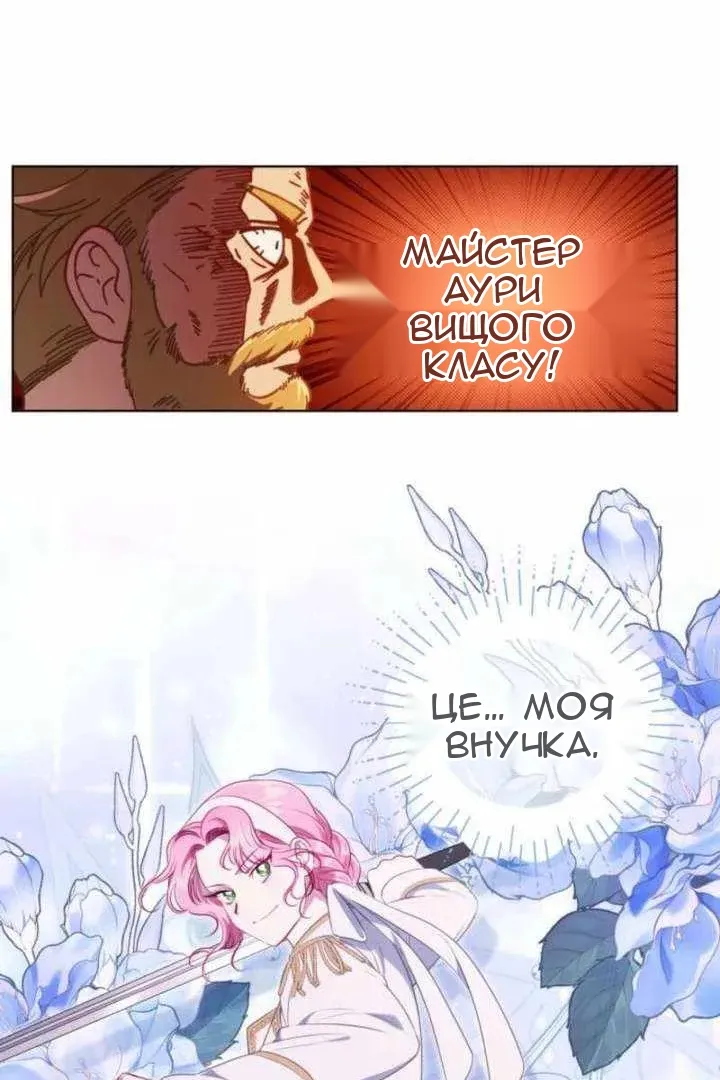 Сторінка 17