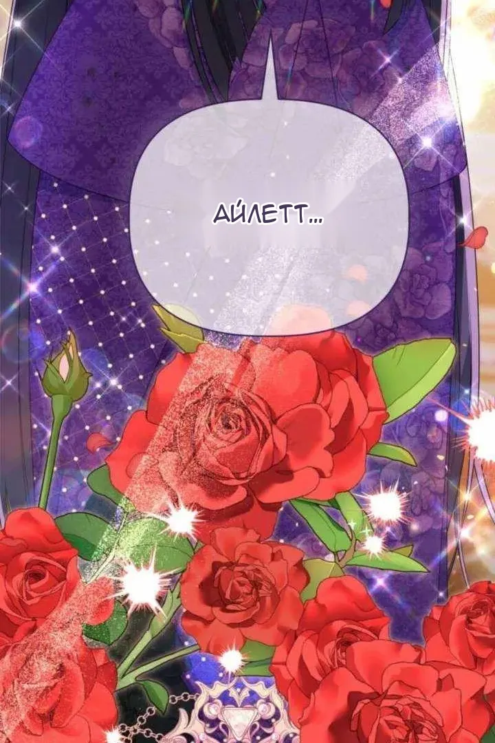 Сторінка 27