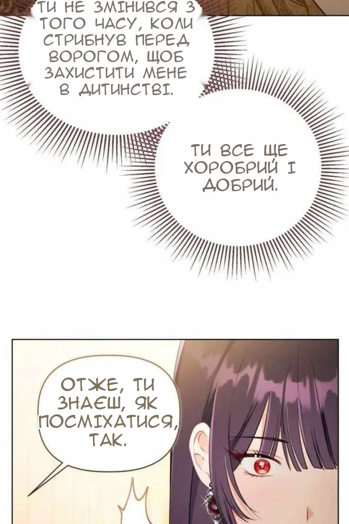 Сторінка 29