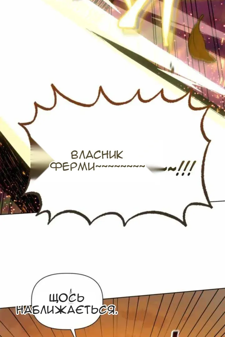 Сторінка 5