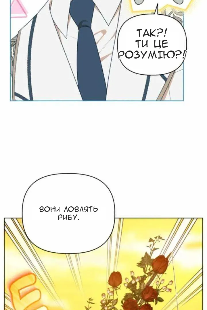 Сторінка 47