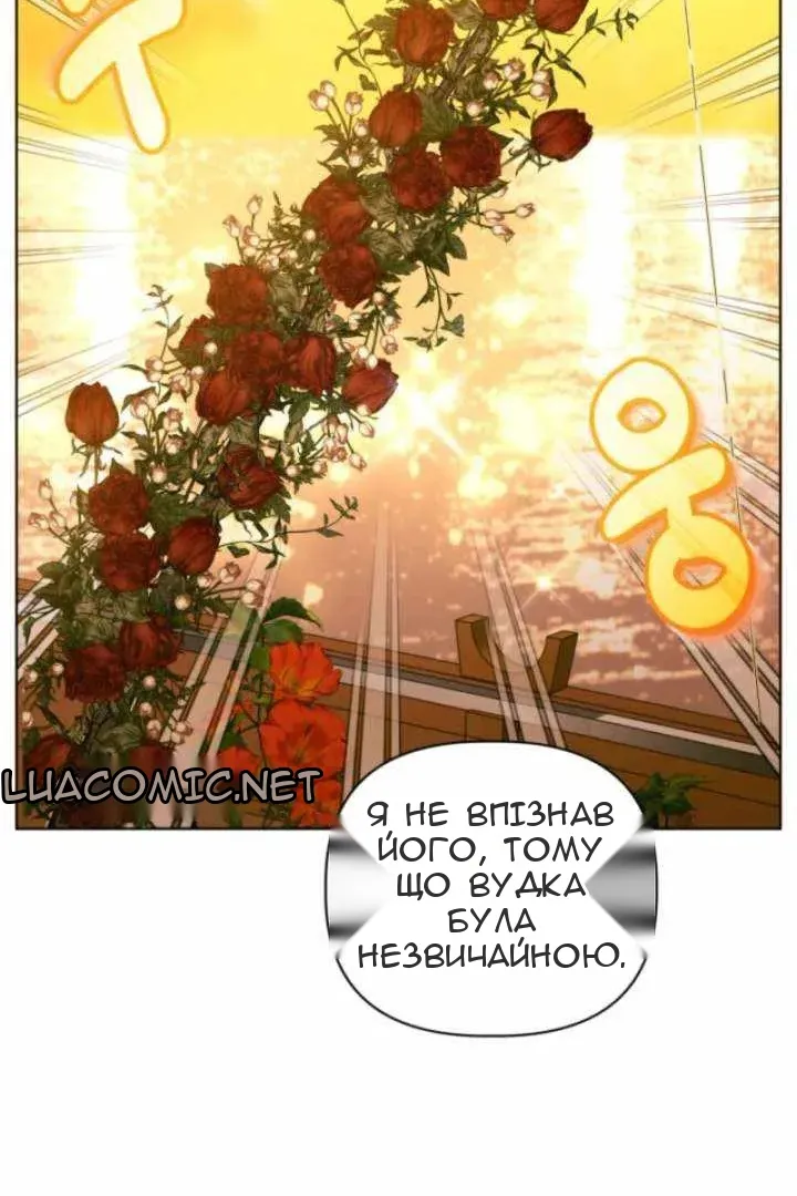 Сторінка 48