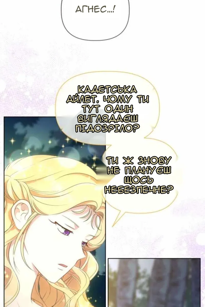 Сторінка 11
