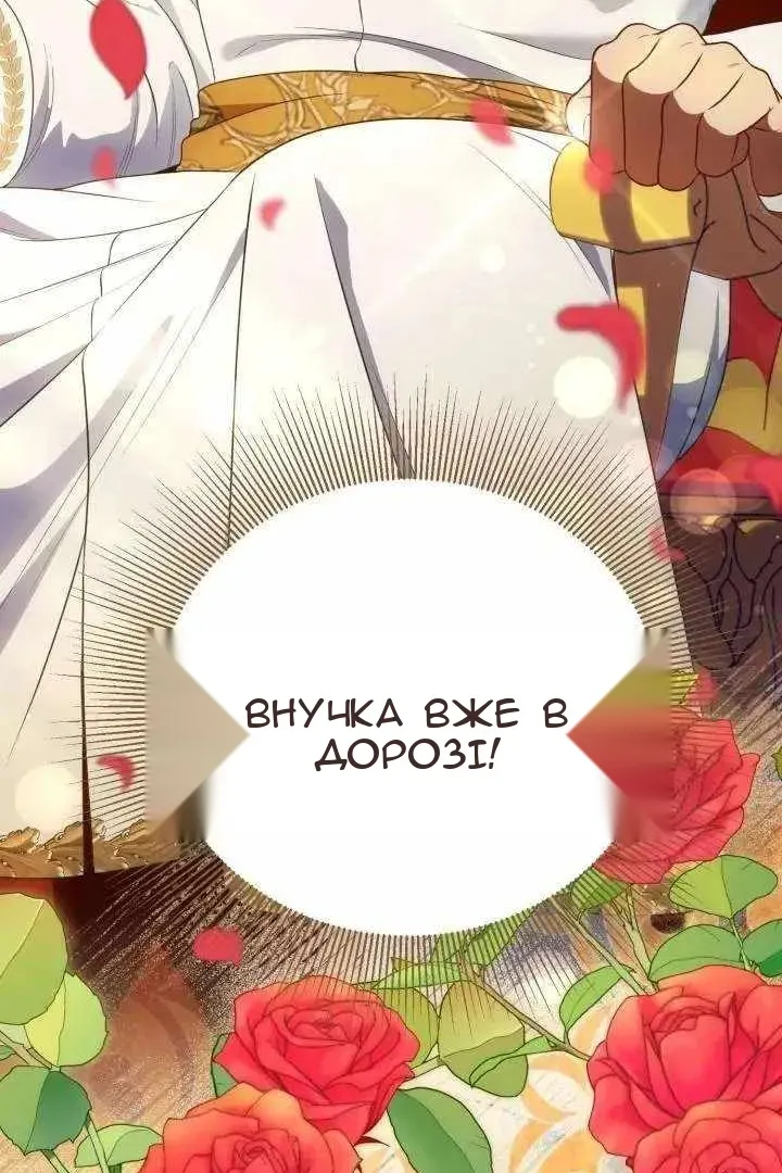 Сторінка 28