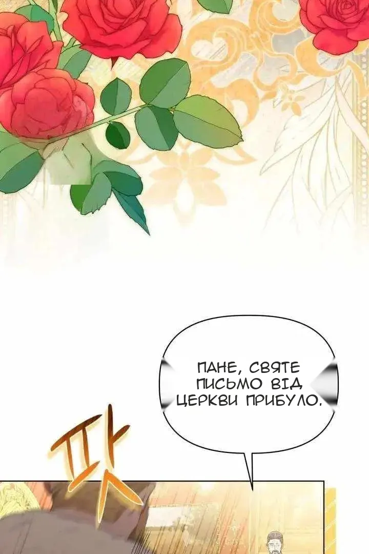 Сторінка 29