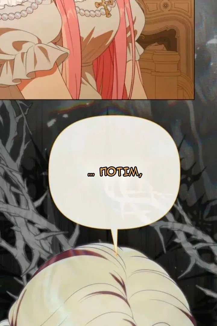 Сторінка 47