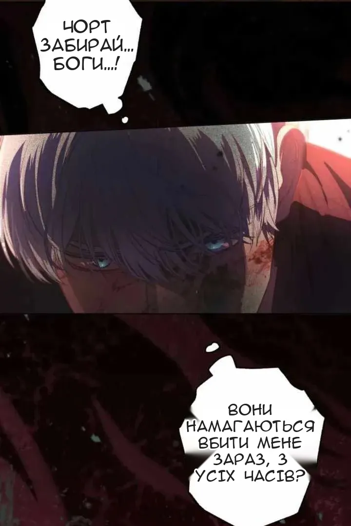Сторінка 5