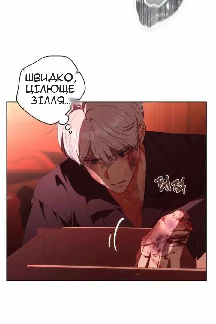 Сторінка 12