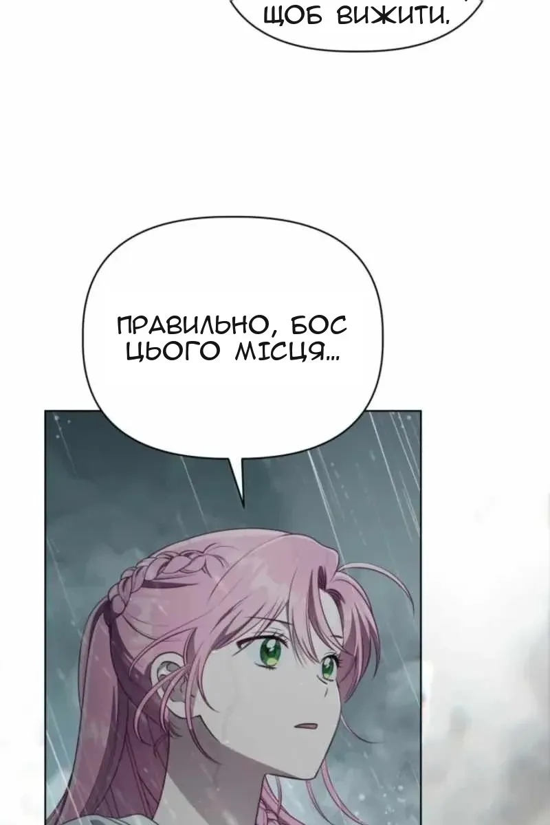 Сторінка 102