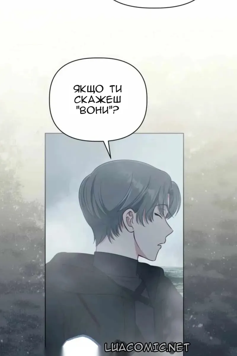Сторінка 29
