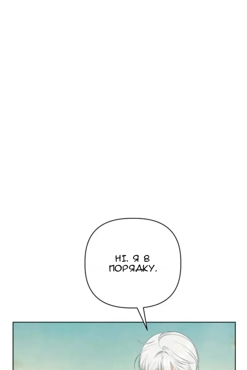 Сторінка 43