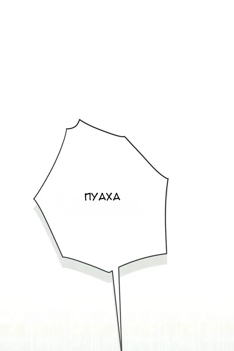 Сторінка 39