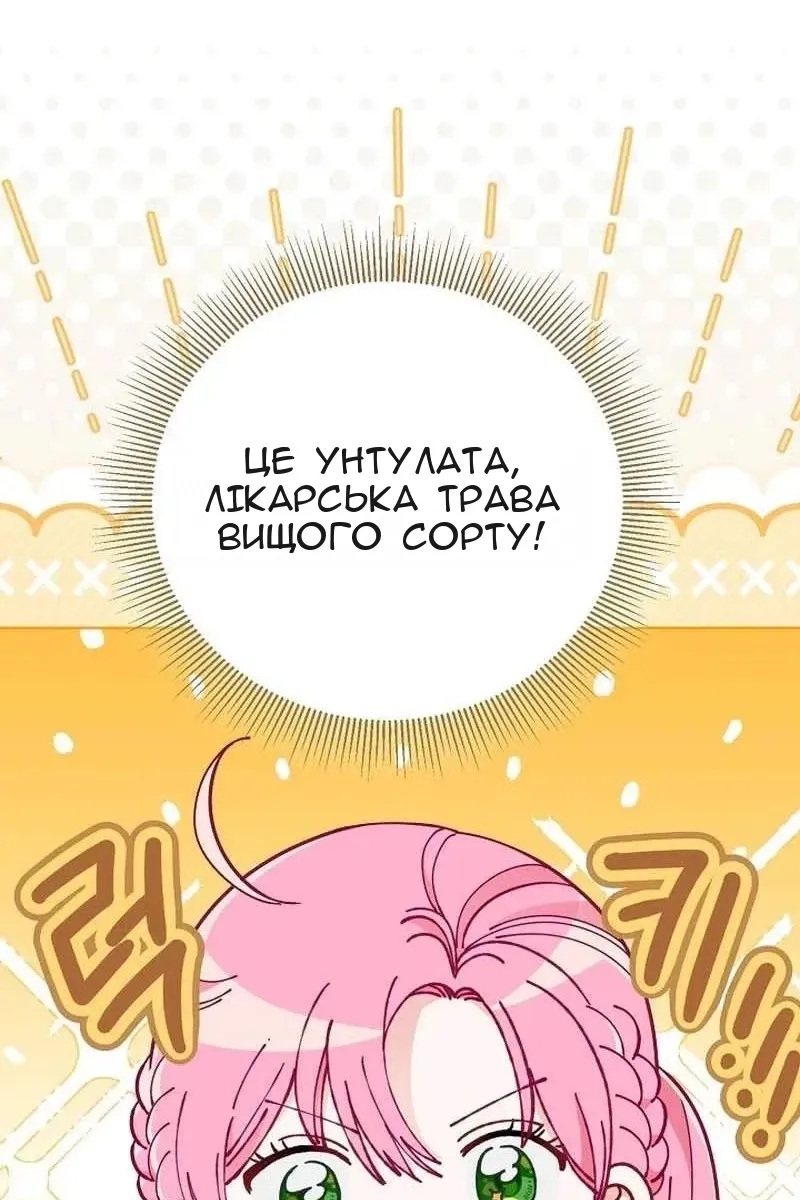 Сторінка 49