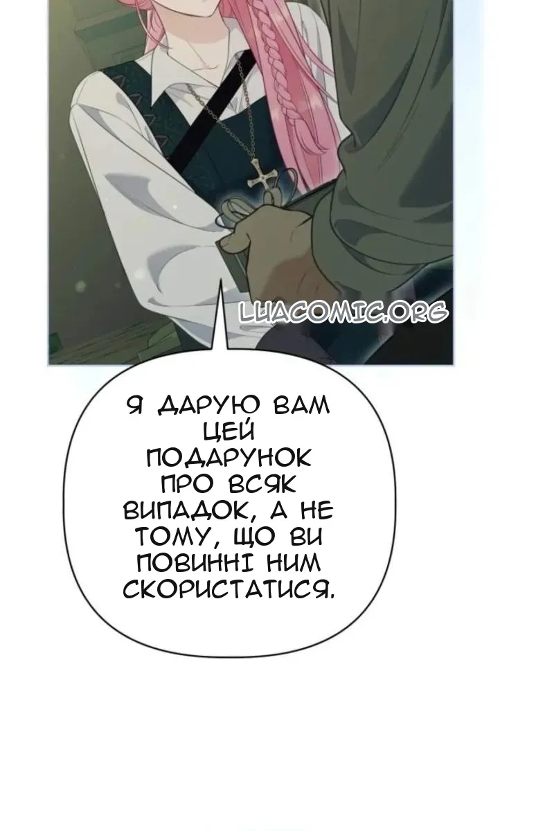 Сторінка 17