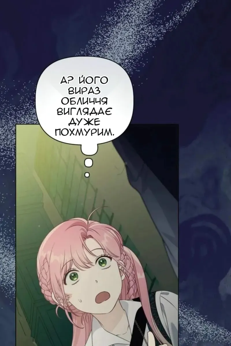 Сторінка 28