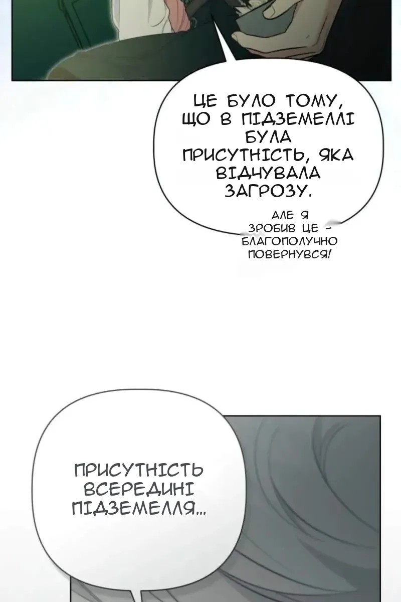 Сторінка 41