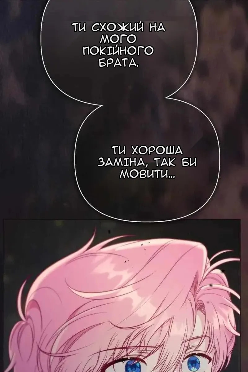 Сторінка 28