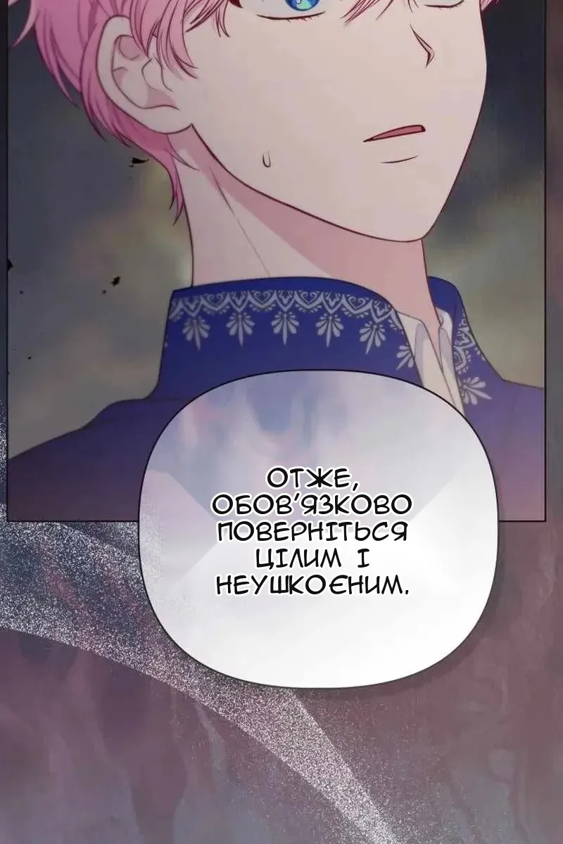 Сторінка 29