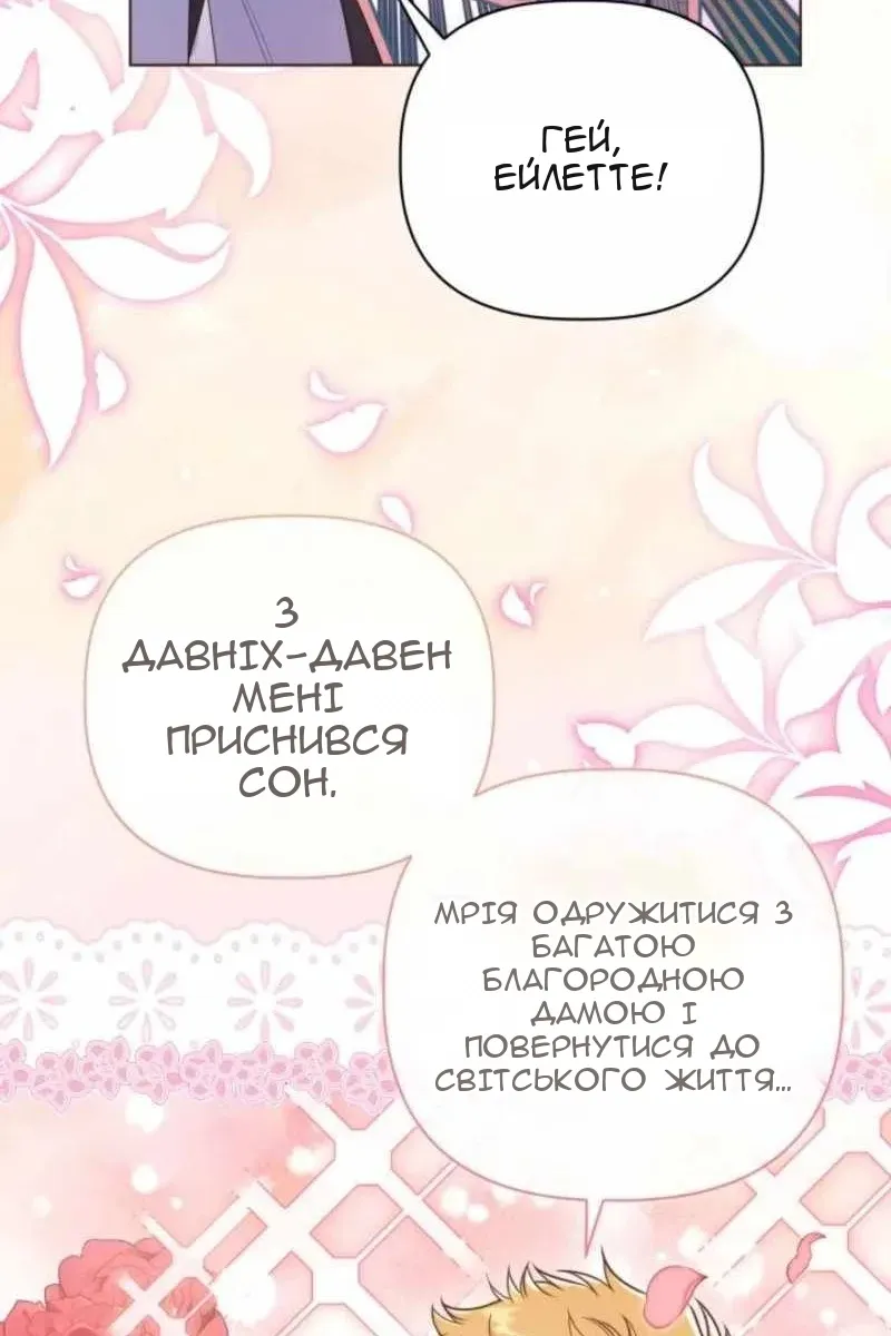 Сторінка 17
