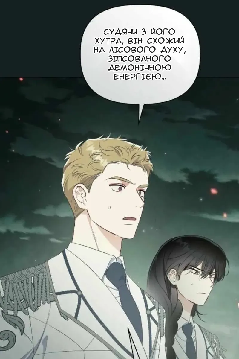 Сторінка 11
