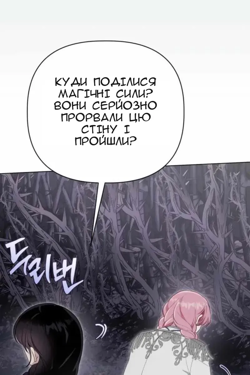 Сторінка 39
