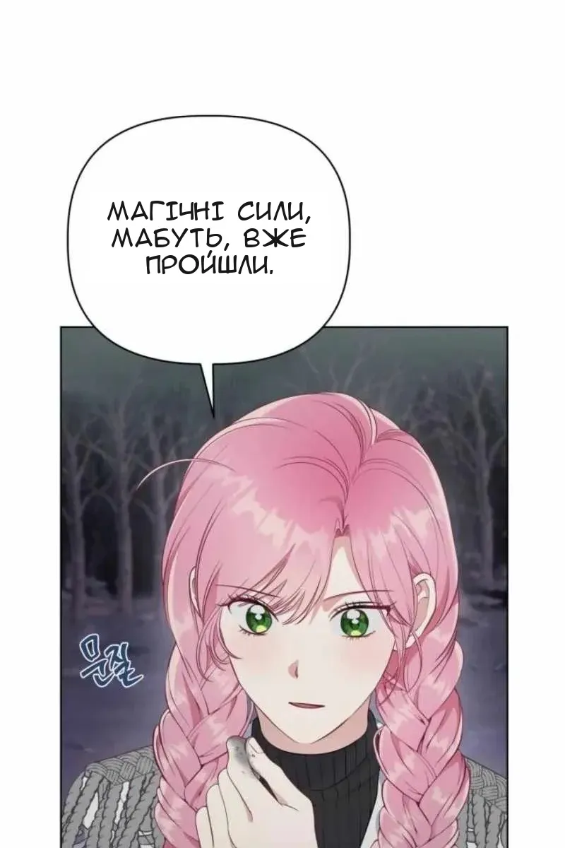 Сторінка 41