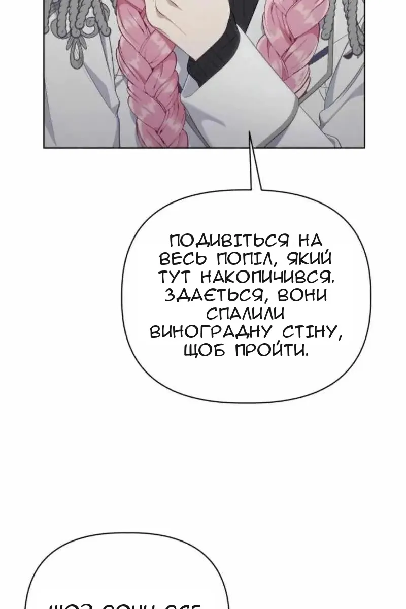 Сторінка 42