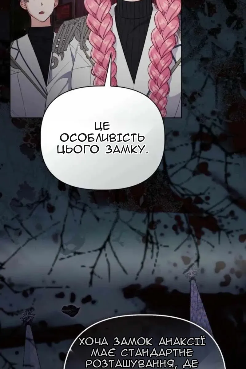 Сторінка 61