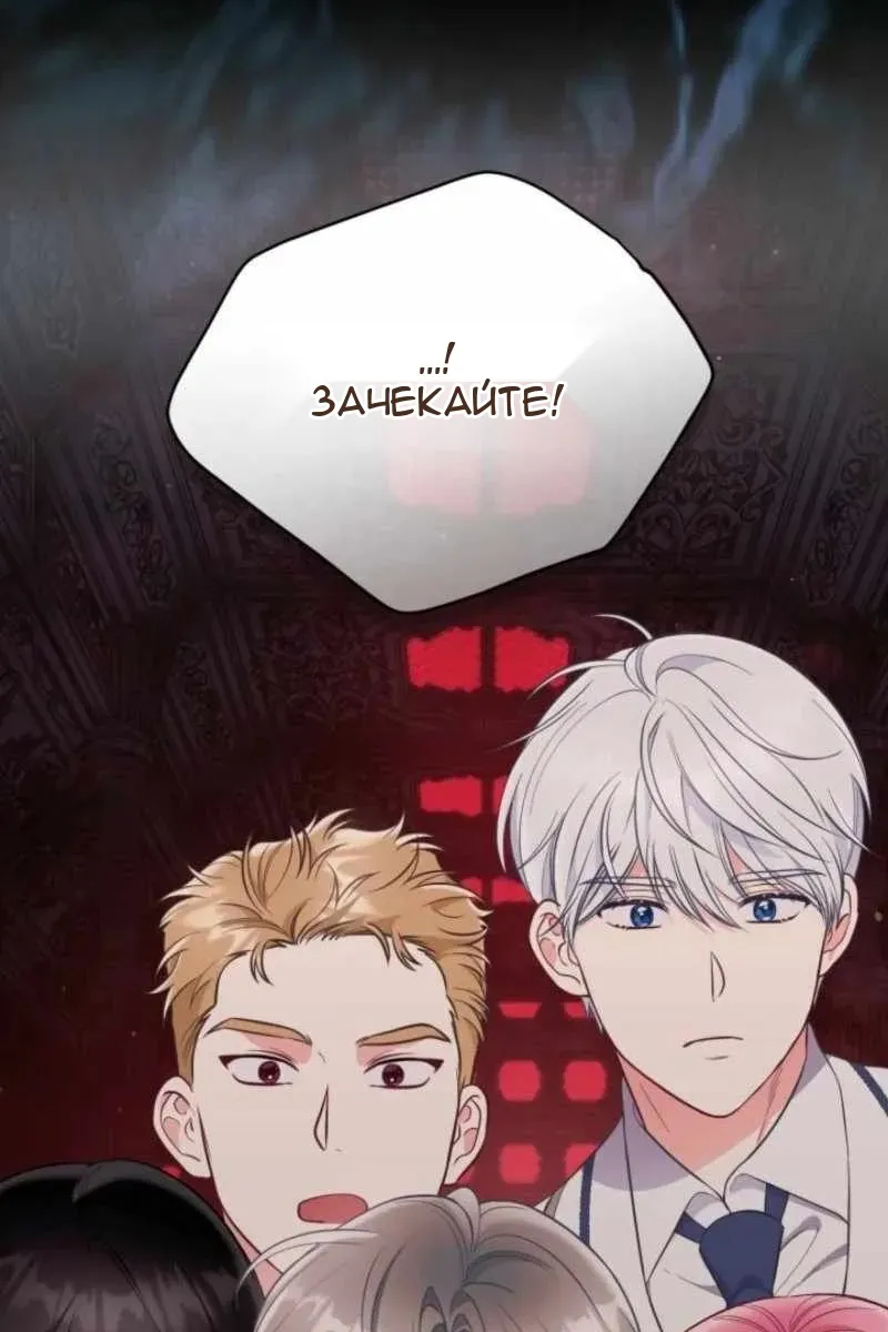 Сторінка 113